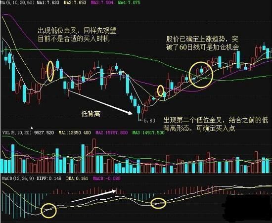 揭秘庄家选股，学会这几点，从此庄家为你买单！