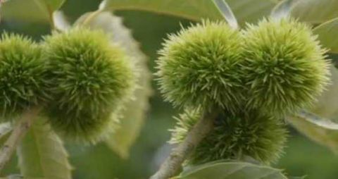 t01c1b699deba48f7ae.jpg