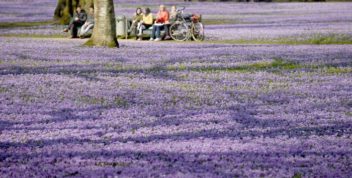 什么才是真正意义上的欧洲?