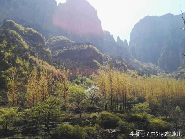 春天的太行山，连翘花儿满山坡，有一种曲径通幽之美