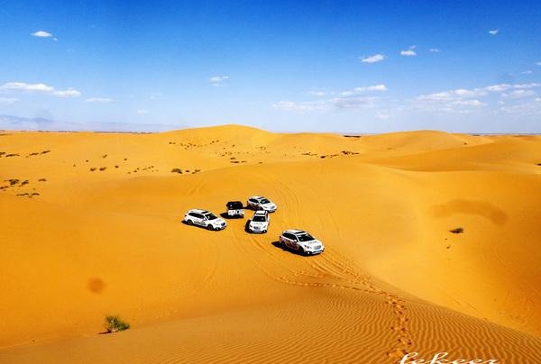 荒漠也不是荒漠了