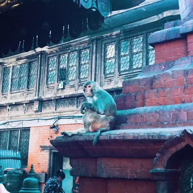 尼泊尔,还想再来一次的旅行地!不是你想象中的贫穷与落后……