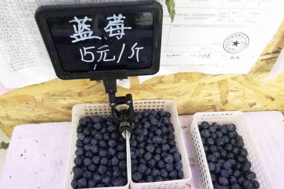 离核桃10元3斤 鲜枣一盒3斤100元 水果店水果