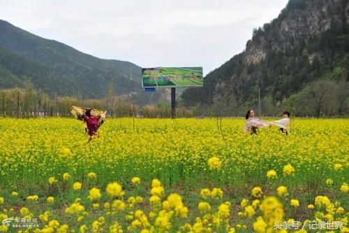 去陕西洛南旅游，西安火车北站附近有通往洛南县的汽车吗？