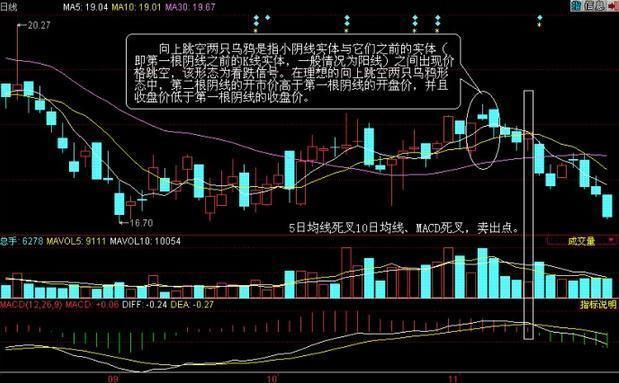 中国股市罕见发声：保护千万股民！投资者：都是骗人的