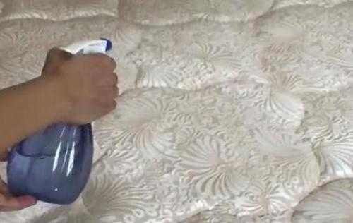 床上有螨虫不用急,教你除螨小妙招,跟螨虫说拜