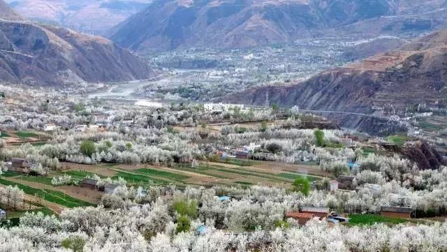 阳春三月，中国10个最美最值得去的旅游胜地，错过再等一年