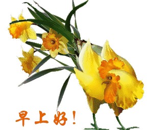 最漂亮早上好图片大全动态,早上好v图片语大全带微字动态表情信早安图片表情包图片