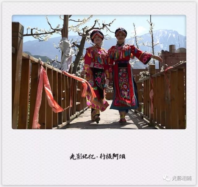 亲，你见过脆李花吗？