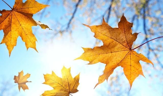 入职当月是否缴纳社保