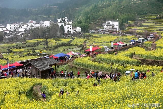春天的婺源 油菜花盛开，姑娘头戴十元花环满山遍野拍照