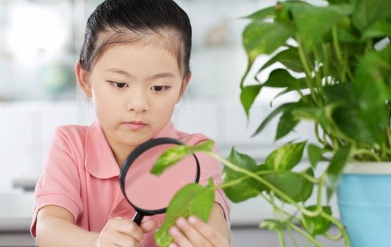 这三个月份出生的孩子，十有八九富贵命，大出息，父母养老无忧!