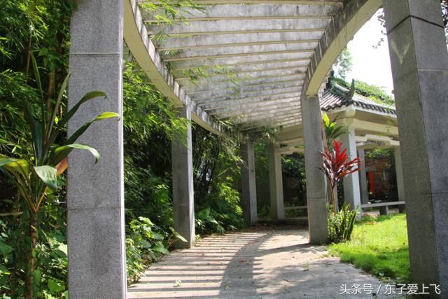 永汉镇官田王屋古村建筑群--夏日古村行