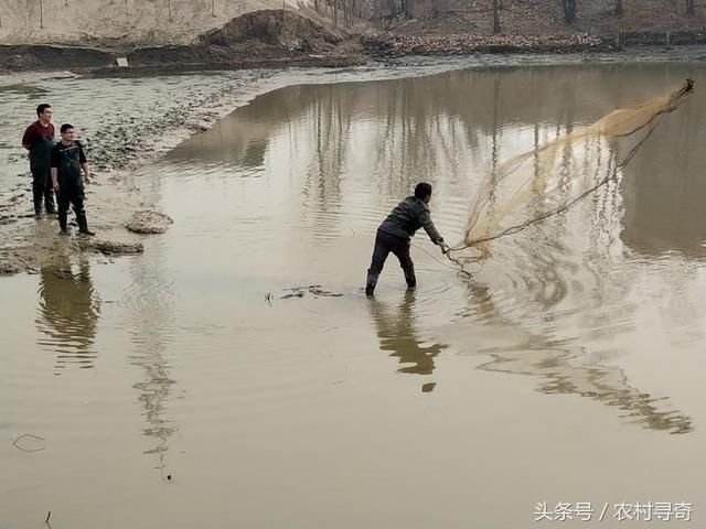 雨过天晴，农村小伙看到河里的大家伙后忍不住出手了