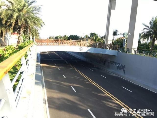 湛江霞山区人口_湛江霞山区城市规划图(2)