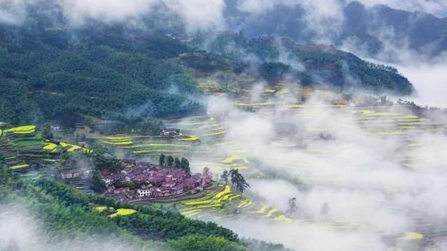 中国最适合居住的城市，青岛南宁都不是，没想到竟是这个城市