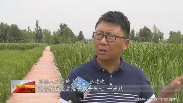 中央环保督察“回头看”中卫市四排：昔日黑臭水体，如今绿波荡漾