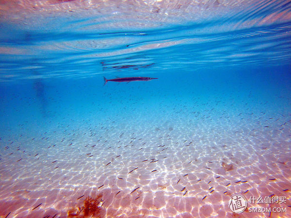 头脑一热，去马来西亚热浪岛了