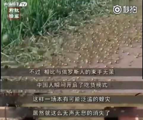 蝗灾是靠中国吃货撸几顿蚂蚱串儿就能解决的吗?天真!