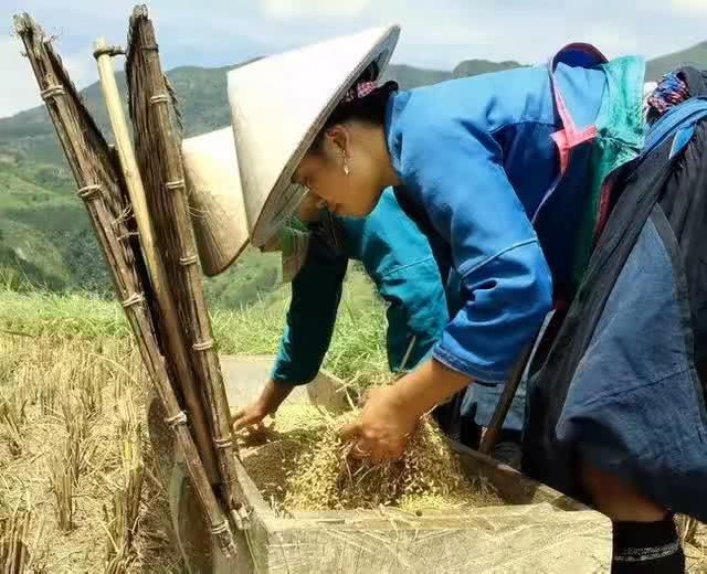 巴基斯坦好奇：中国制造业要多少天来产生相当于越南全年产值？