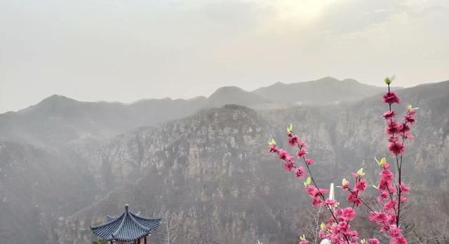 说什么你说嘛你说