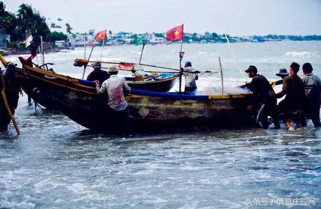 你想要的大海和沙海这里全都有