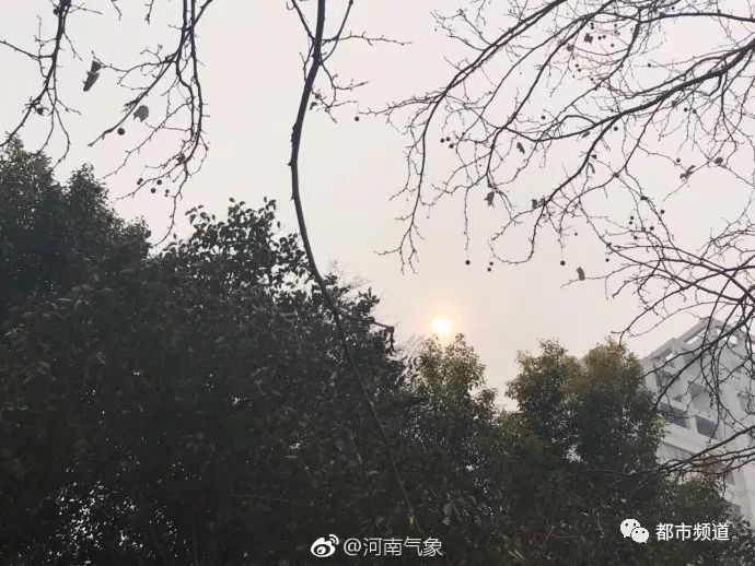 冷空气来袭!河南局部地区有中雨 最低温0℃