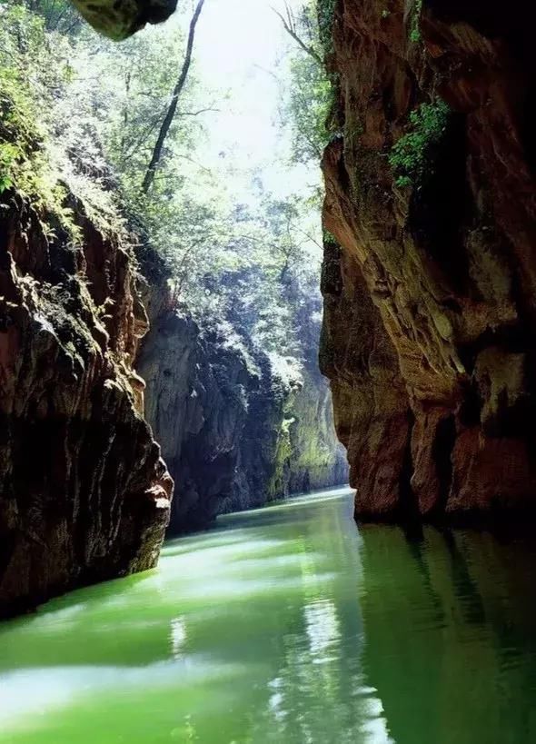 这才是3月最值得去的地方！最近的就在市内，周末就出发！