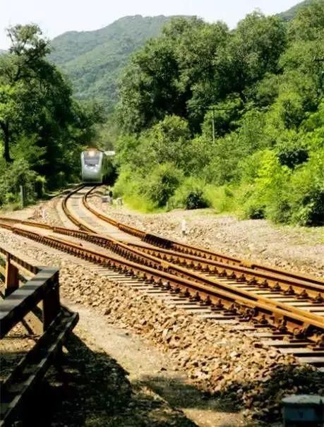 别去日本了！北京这趟6元小火车，带你穿越绝美樱花！沿途风景惊