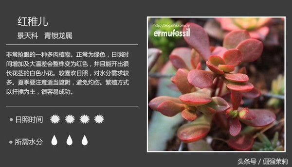 t01c600a59f42afdc50.jpg
