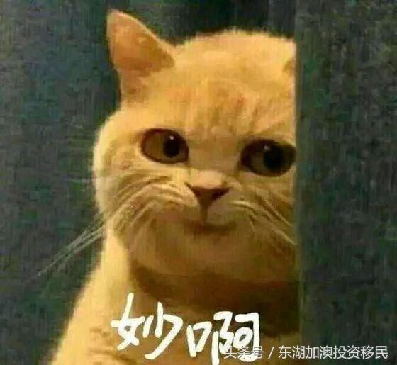 加拿大生活成本高?北京、上海、香港了解一下