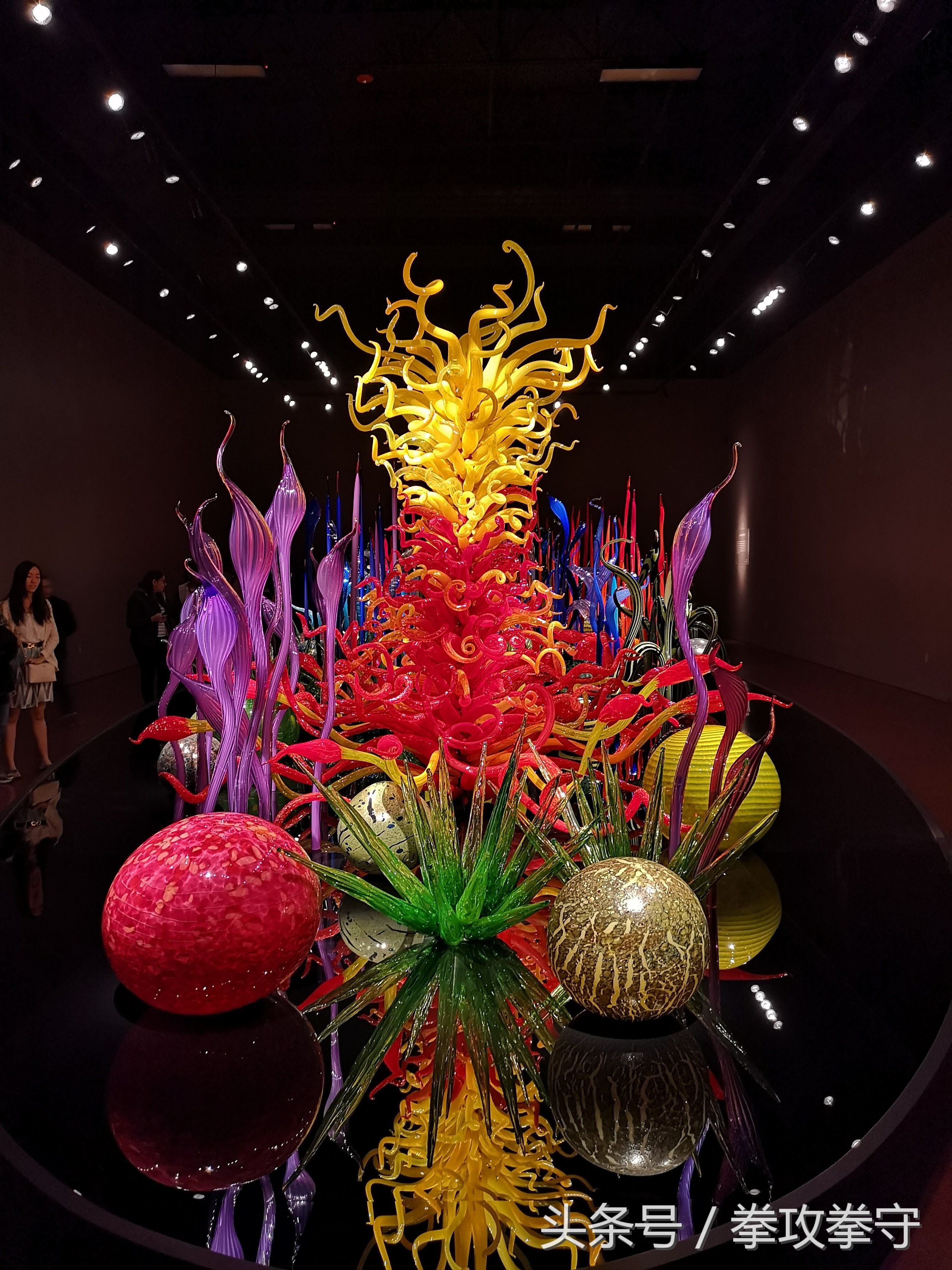 埃及摄影师用华为P20 Pro拍摄的西雅图美景 赞