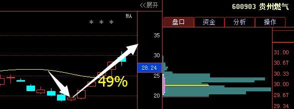 继贵州燃气,华森制药后,又一\"医药龙头\"脱颖而出,将乌鸡变