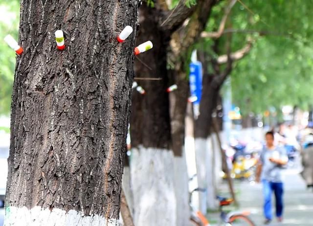 涉黑涉恶、严重违纪违法……山东33名干部被通报|山东68名学生感