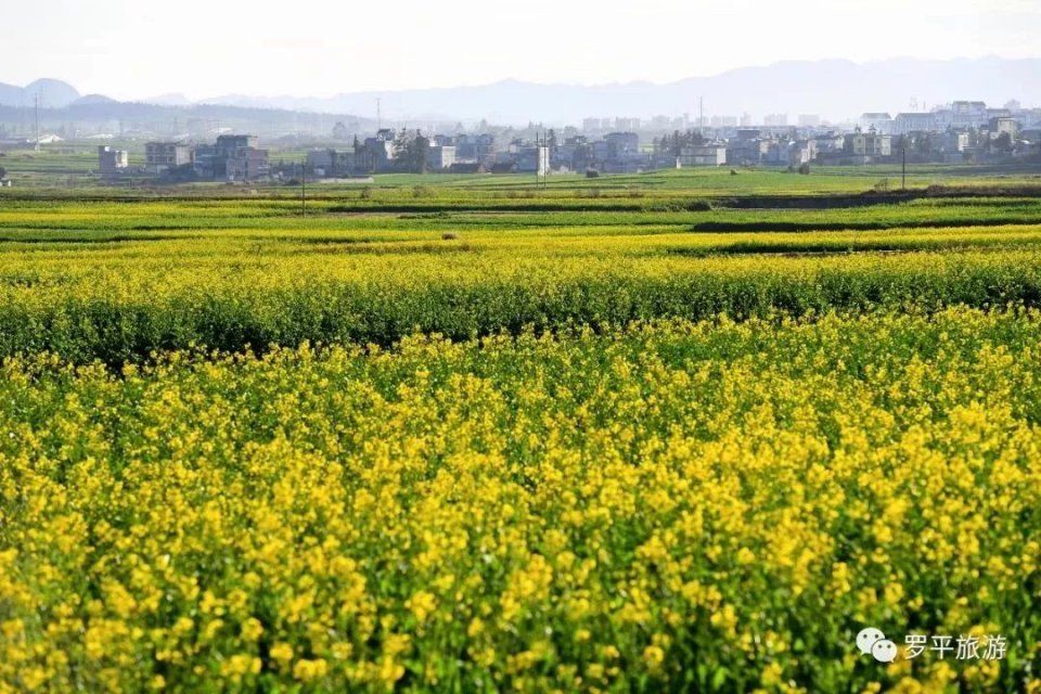 说好的过年昆明变空城呢?城里城外……分分钟被这场面惊呆了