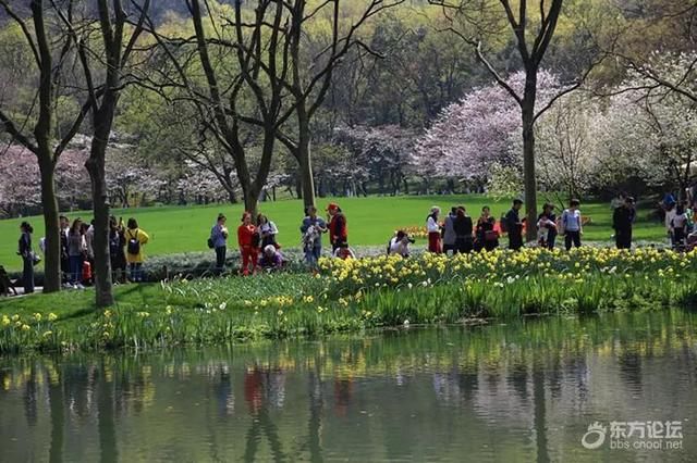 美翻！宁波市区这个公园的郁金香已花开成海，即将刷屏朋友圈！去