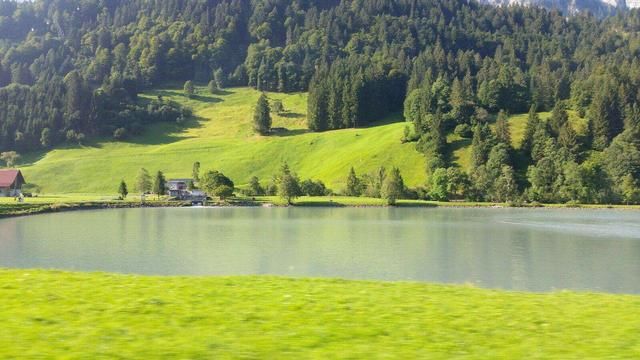 老白说彩:3D组选号码的重复规律