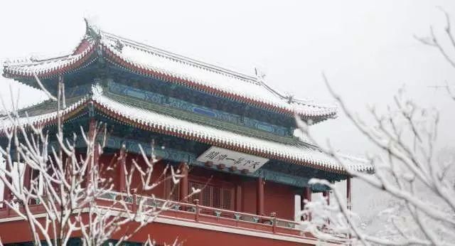 别去日本了！北京这趟6元小火车，带你穿越绝美樱花！沿途风景惊