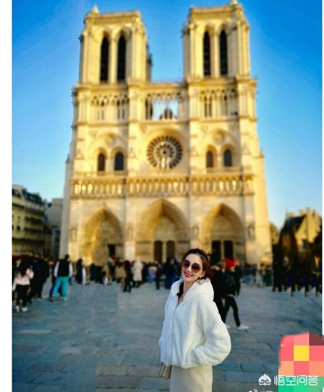 巴黎圣母院被毁,国内很多明星名人纷纷惋惜,甚