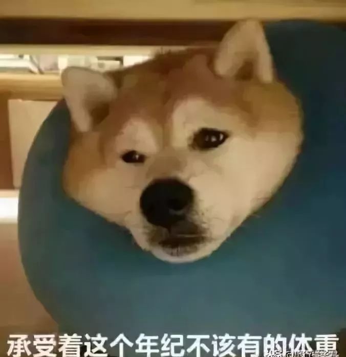 2019年放假安排出炉,五一小长假竟然取消了!