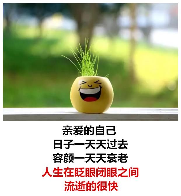 人到中年,写给渐渐老去的自己!