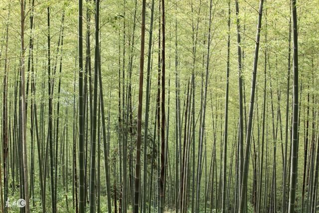 湖南六大冷门景点,景色却非常好看,旅游去了绝