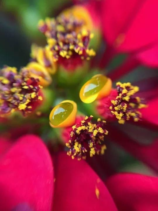 好句子优美句子