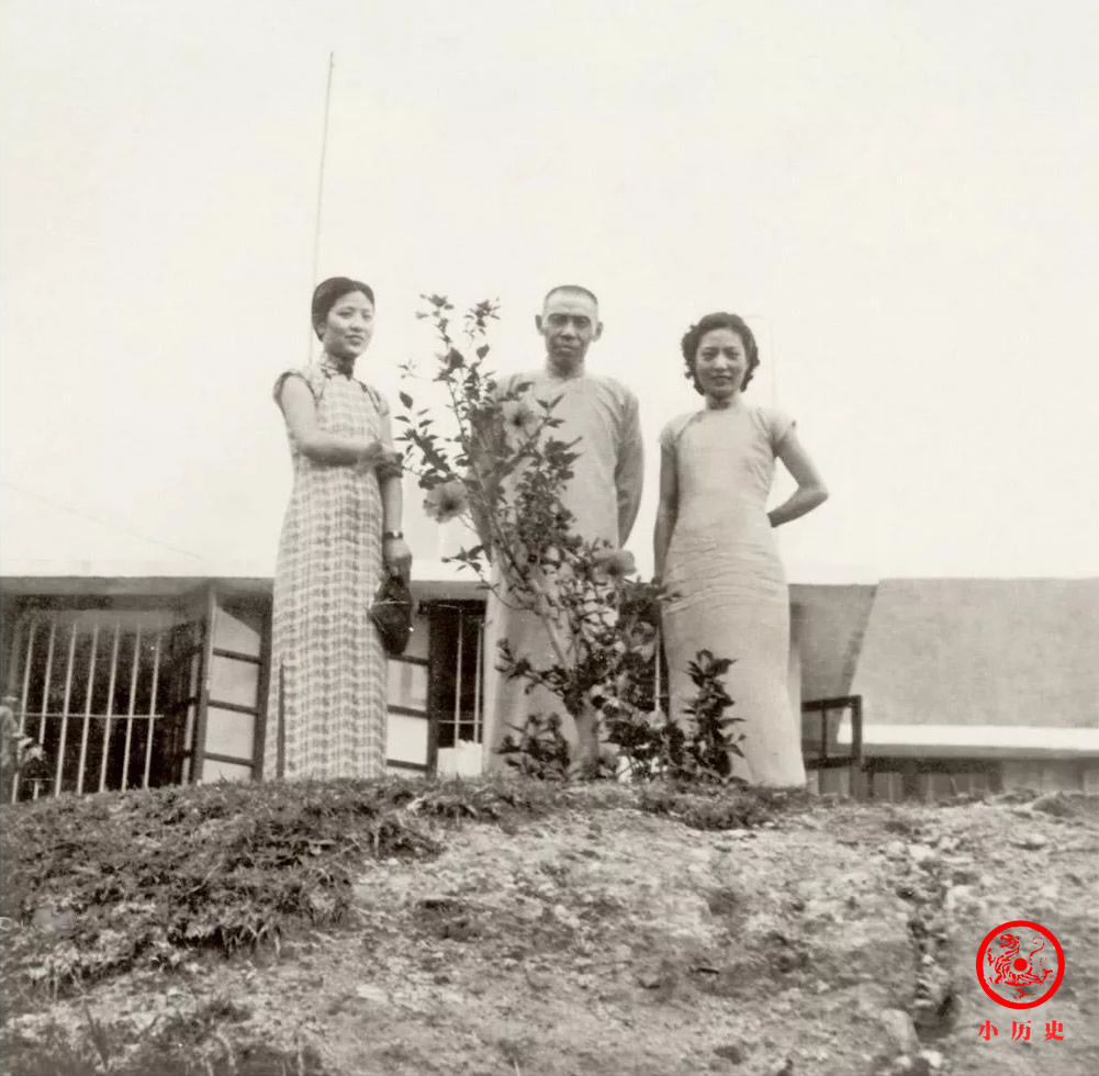 杜月笙与孟小冬结婚照,冬皇之美国色天香