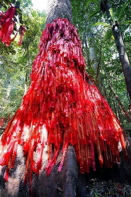 7天6晚，玩转傣历新年泼水盛会