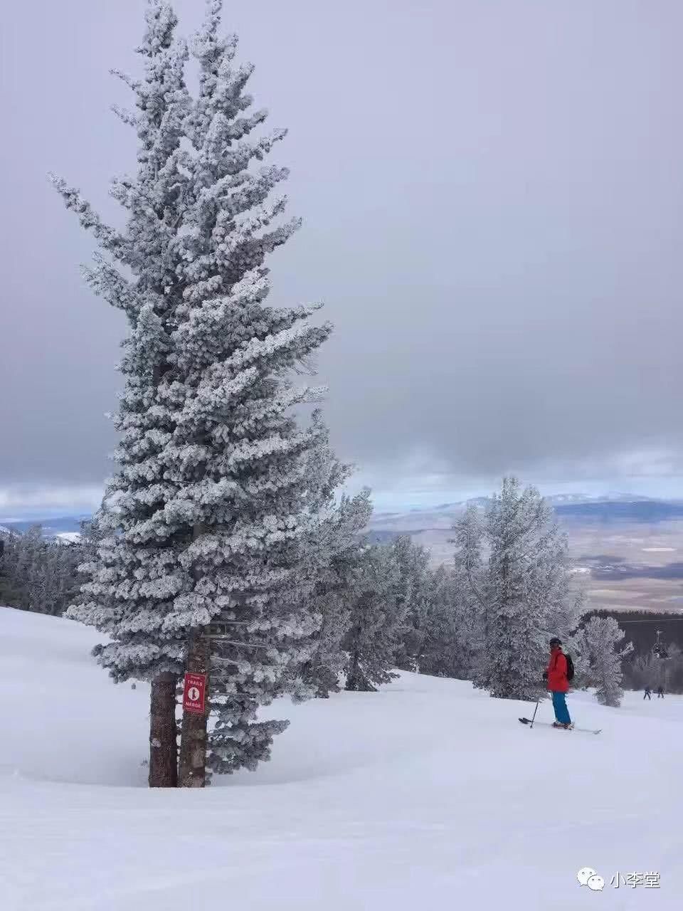 带着雪板去旅行，带着画本去滑雪