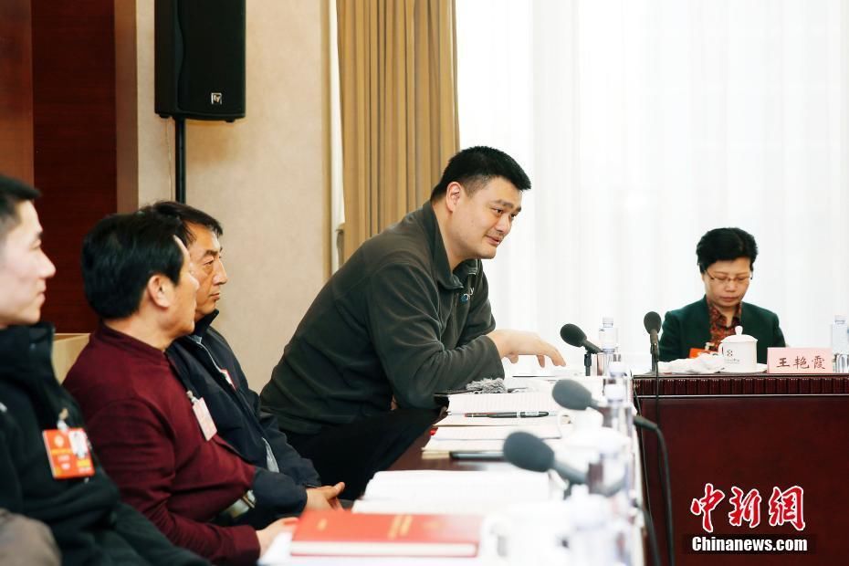 全国政协委员讨论政府工作报告 杨伟民委员发言