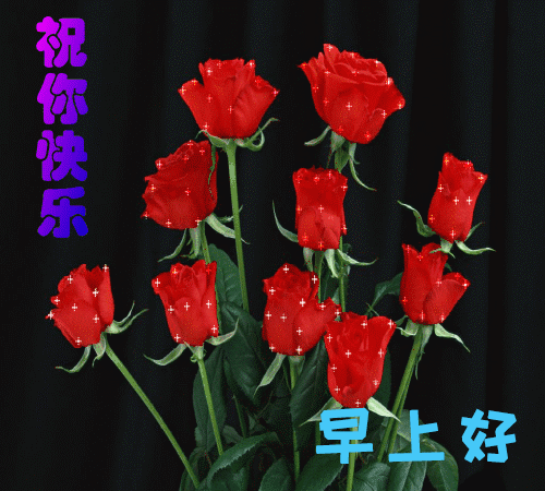 特别漂亮的早晨问候语懒猴图片早安问候带图动态小表情包图片