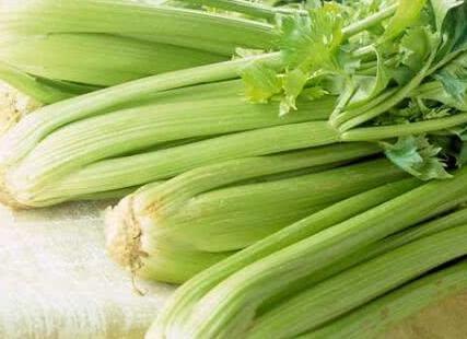 芹菜和他们一起吃,相当于吃毒,你是不是正在吃