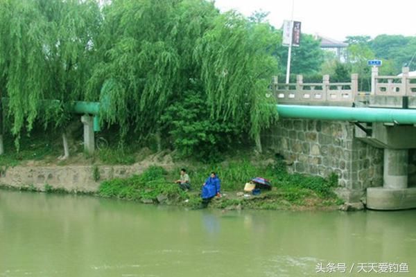 夏季钓鱼4大误区，绕过这些“坑”，渔获轻松翻几倍